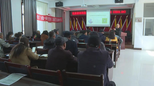 ?專家聯手來到大連瓦房店市楊家鄉舉辦科技特派蔬菜團春季培訓班