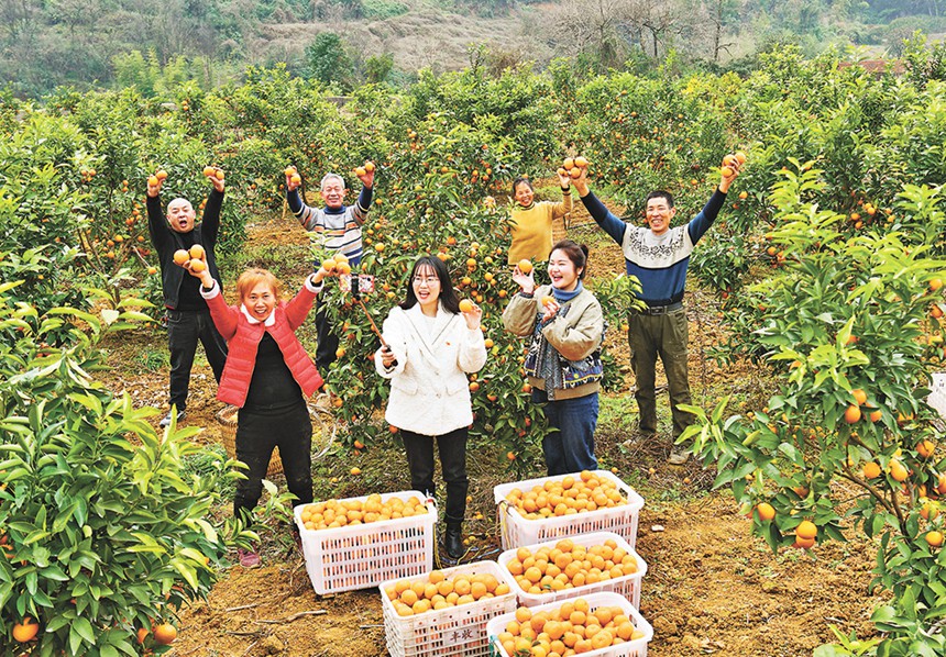 《豐收笑臉》 合川 羅明均 攝