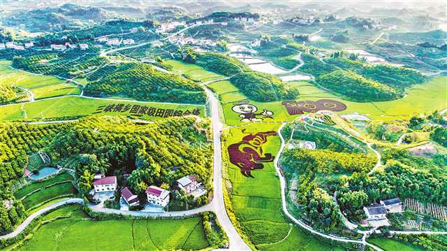 鳥瞰忠縣三峽橘鄉田園綜合體。（受訪者供圖）