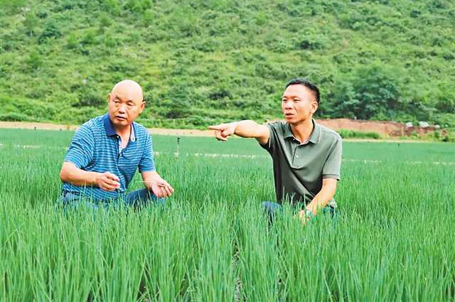 “新農人”挑大梁 解鄉村人才之“渴”